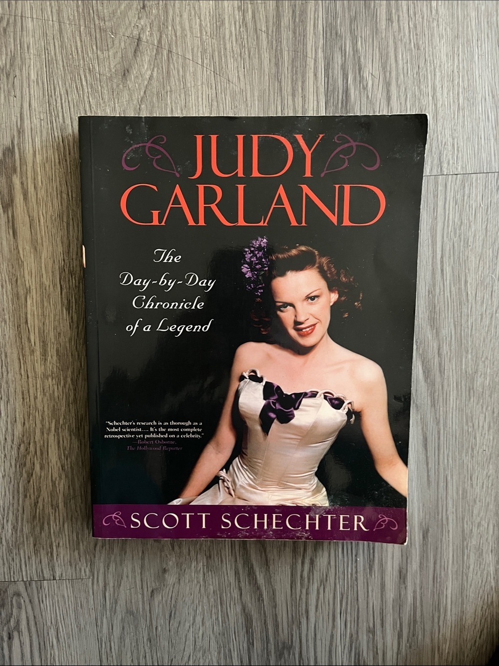 Judy Garland: The Day-by-Day Chronicle of a Legend - Scott Schechter